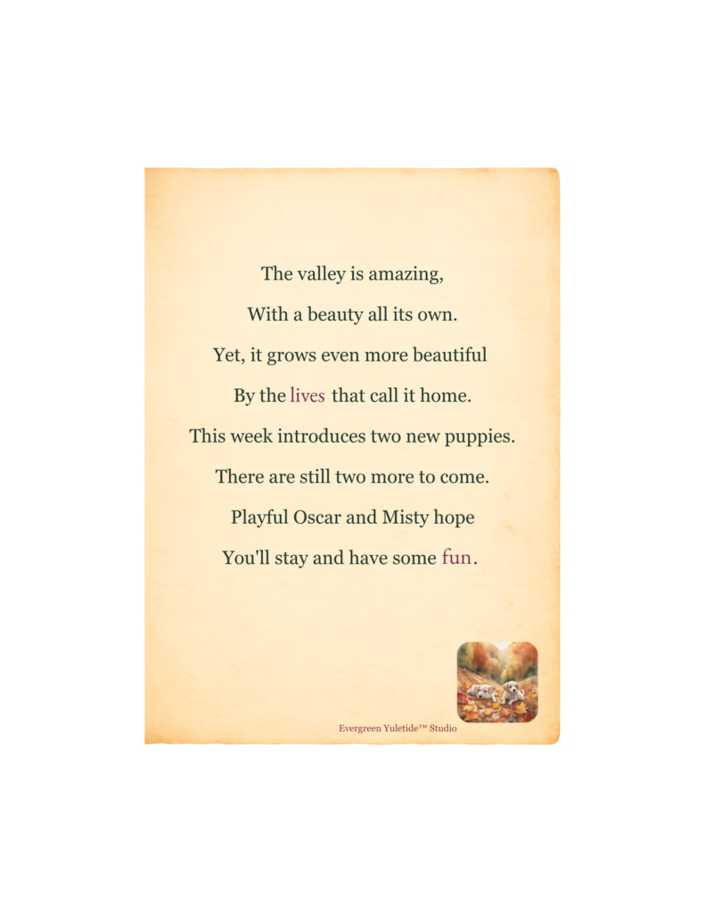 Week 24 Story Card 24w